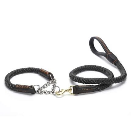 Leather-Rolled-martingale-dog-collars-With-Leash